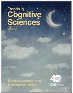 15826016_10154890287383221_1741408717709419044_n